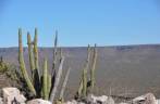 Vista da imensa planície desértica, subindo a Sierra de San Francisco, no deserto Vizcaino, na Baja California - México